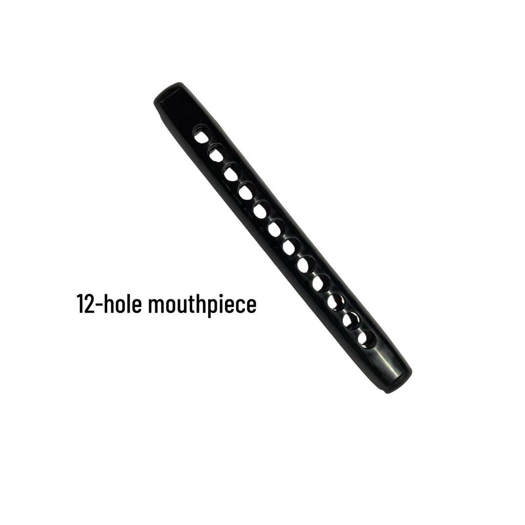 Chromatic Harmonica for Beginners with 12/14-Hole C Major and Detachable Mouthpiece