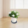 Plant Caddy with 4 Invisible Casters Plant Dolly for Yard Living Room Garden