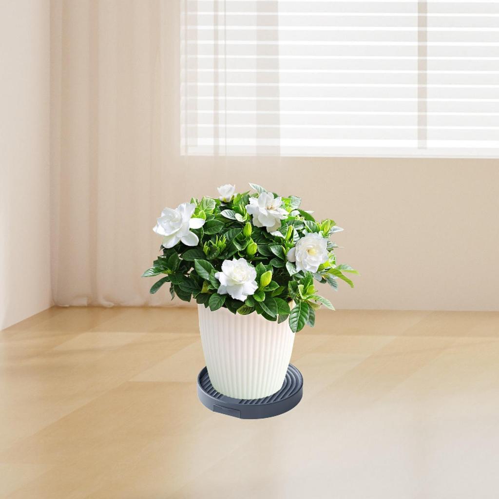 Plant Caddy with 4 Invisible Casters Plant Dolly for Yard Living Room Garden