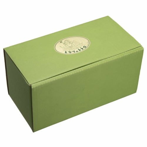 Noritake My Neighbor Totoro Microwave-Safe Bone China Mugs (Pair) 375cc (4924-37L/TP97855)