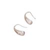S925 Sterling Silver Frosted Water Drop Earrings for Women - Unique High-End Design, 2026 New Style