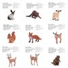 Animal Beaver Fox Deer Model Set With Pvc Material For Educational Display And Collectors