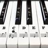 Toetsinstrumenten – Accessoires voor toetsinstrumenten