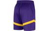 Nike Basketball Shorts Men's Dark Purple DZ3722-504