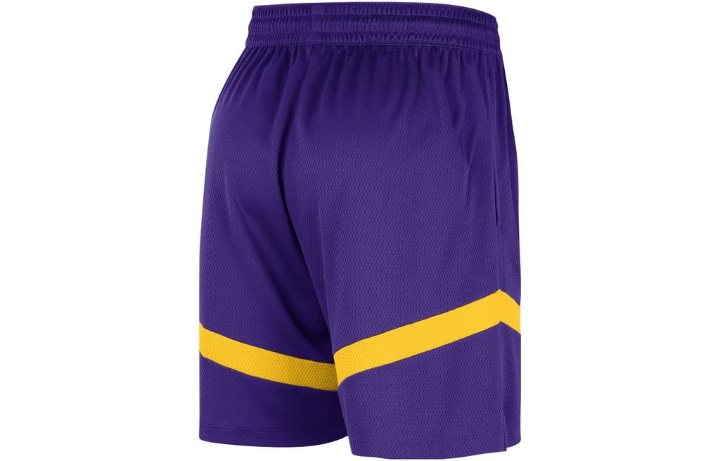 Nike Basketball Shorts Men's Dark Purple DZ3722-504