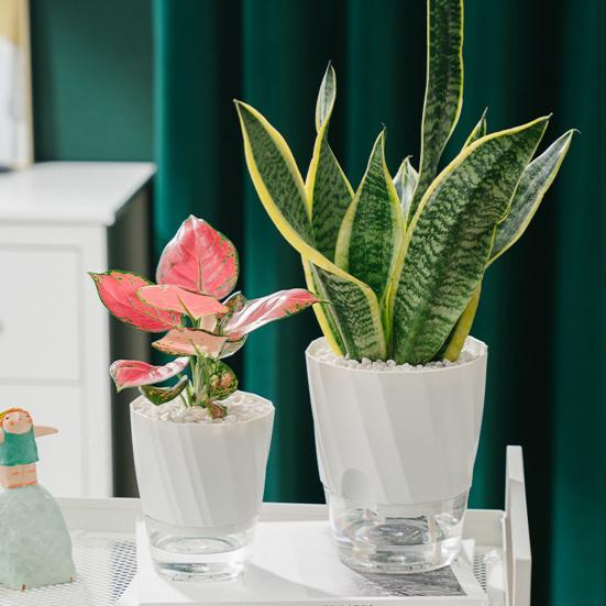 Selbstbewässernder Pflanztopf Blumentopf mit transparentem Reservoir Pflanzgefäß mit Dochtschnüren und Drainagelöchern für Orchideen Afrikanisches Veilchen Sukkulenten Zimmerpflanzen