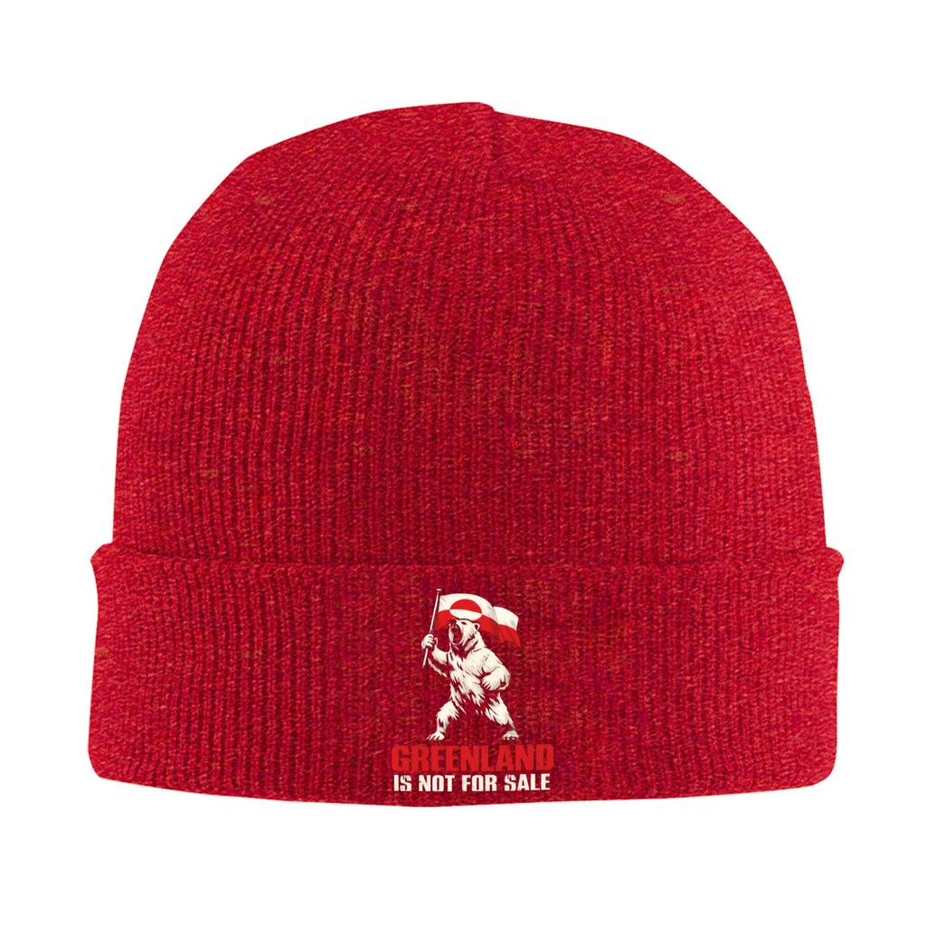 Male Greenland Is Not For Sale Bear With Flag Beanie Hats Street Knitting Hat Spring Hippie Caps Thermal Elastic Bonnet Hats