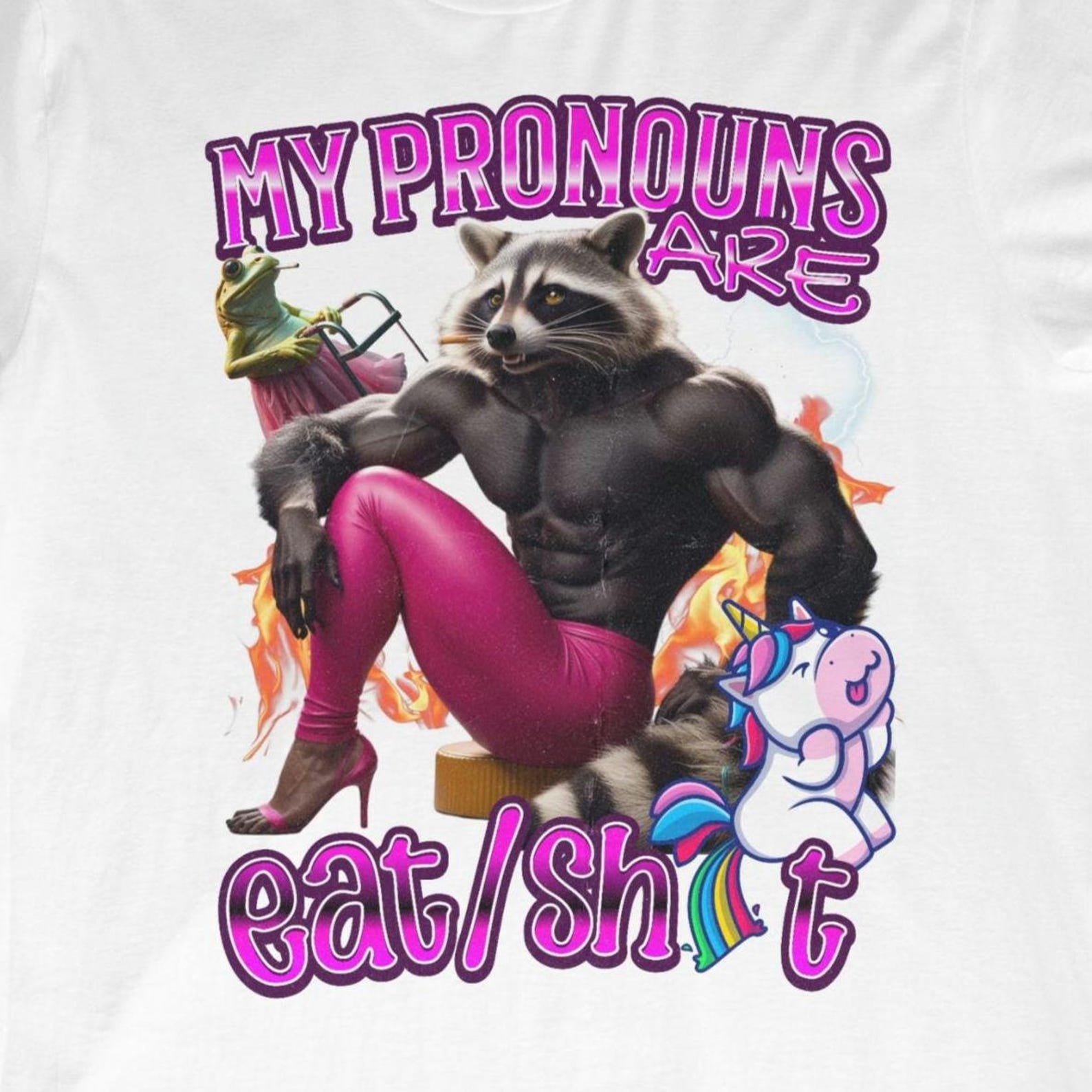 Raccoon Meme T-Shirt: Funny Inappropriate Pronoun Tee 4XL
