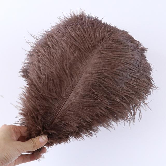 20Pcs Natural Ostrich Feather 15-20cm for Wedding Carnival Home Party Decoration DIY Handicraft Accessories Table Centerpieces
