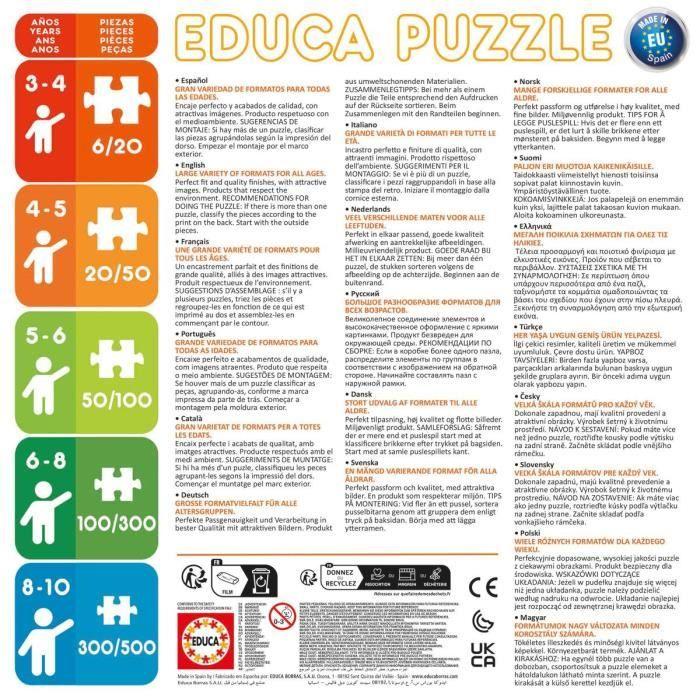 Puzzle - EDUCA - 19998 - 2 x 100 pièces - Dessins animés - Mixte - 6 ans et plus