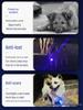 Glow-in-the-Dark Dog Pendant: Anti-Lost Battery-Powered Lightweight Pet Collar Light for Evening Walks
