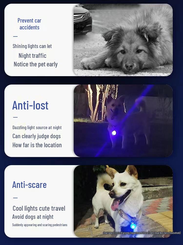 Glow-in-the-Dark Dog Pendant: Anti-Lost Battery-Powered Lightweight Pet Collar Light for Evening Walks