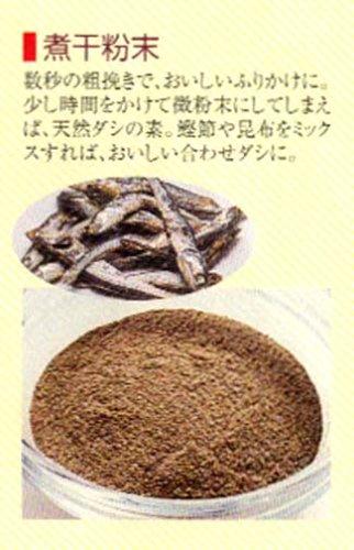 Iwatani IFM-600D Blender 600D