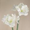 4 Heads Artificial Clivia Flowers Branch Real Touch Fake Flower  Outdoor Garden Decor