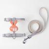 Little Bee Cat & Small Dog Harness and Leash Set