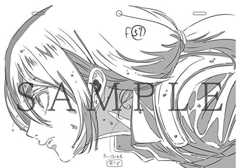 Attack on Titan 3D mobile line art collection Arufumi Imai 2 original art original art storyboard setting document (setting collection, collection,