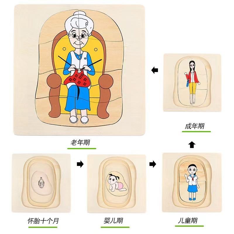 Children's Early Education Characters Body Organ Structure Cognitive Puzzle Brain Multi-Layer Development Wooden Toys