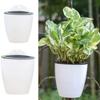 Window Boxes Lazy Planting Basket Transparent Flowerpot Pots Gardening Transparent Portable Round Self Watering Yard