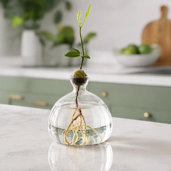 Hydroponic Plants Glass Vase Transparent Propagation Terrarium