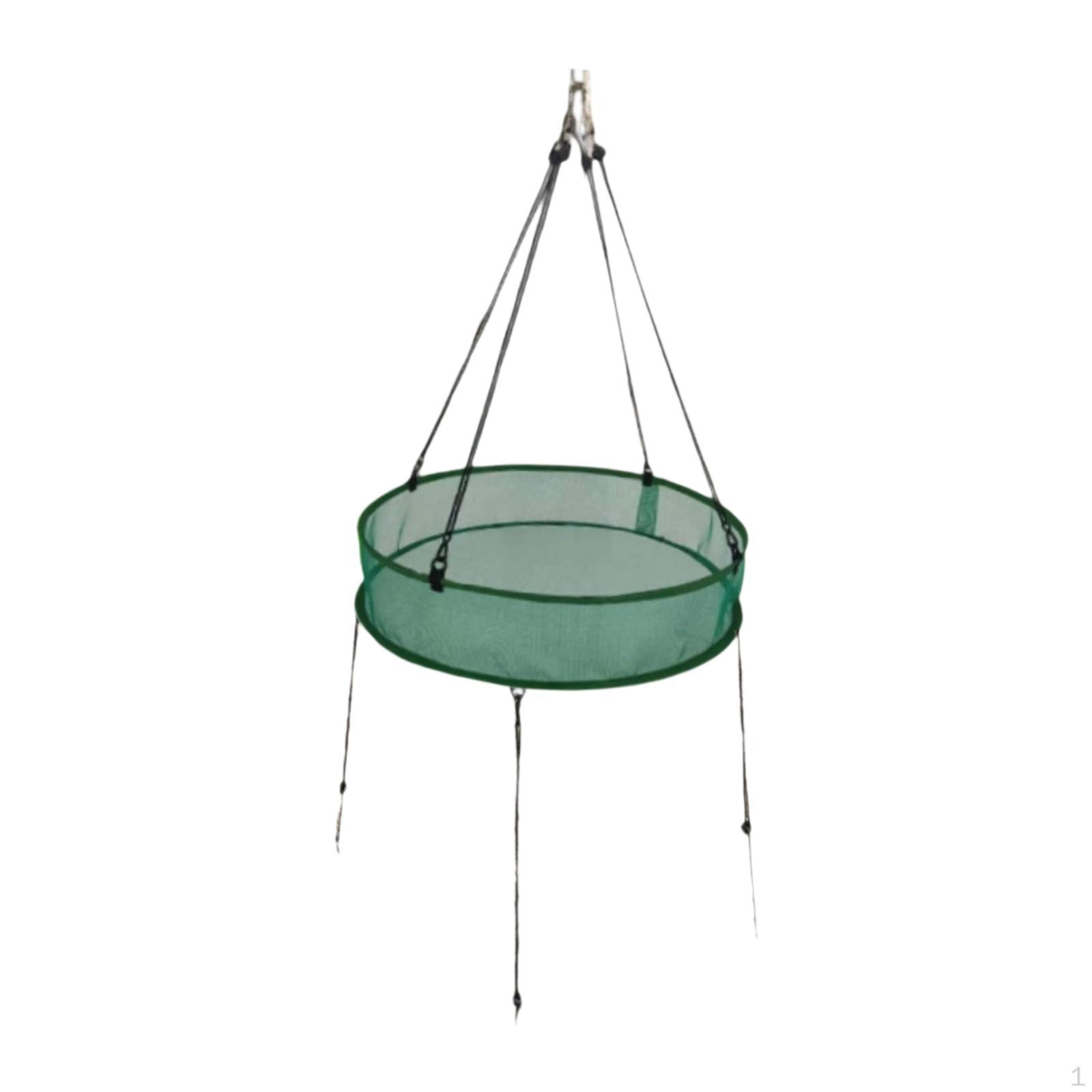 

Bird Tray Birdseed Hoop Reduces Waste Practical Food with Ground Nails for Birds Lover Backyard зелений