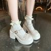 Fashion Ladies Shoes 2025 Platform Women's High Heels Round Toe Autumn Pumps Women Chunky Heel Mary Janes Shoes Woman Dress Lolita Shoes