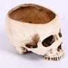 Premium Resin Human Skull Head Design Flower Pot Planter For Unique Home Decor