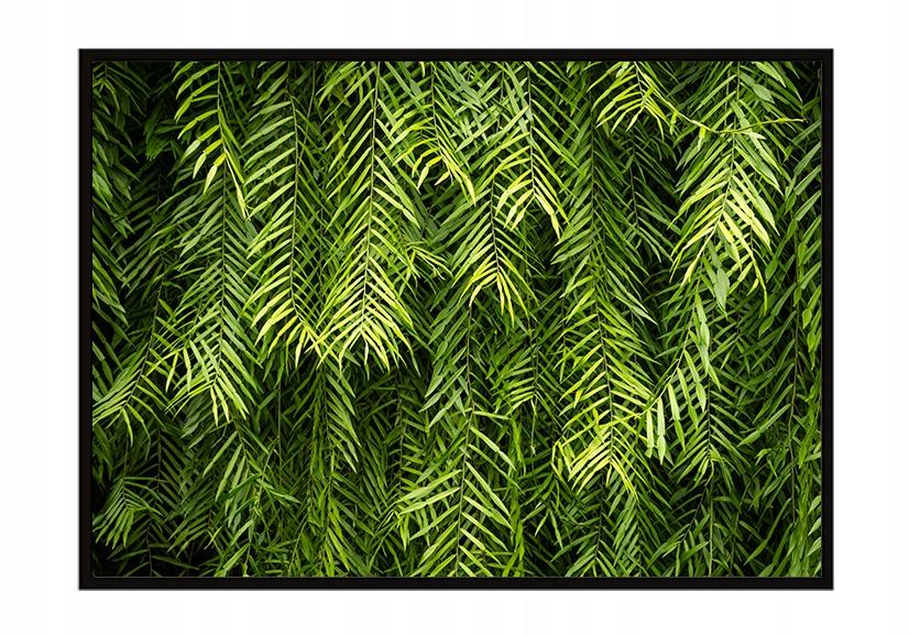 Picture poster In a frame 53x73 cm Leaves P993