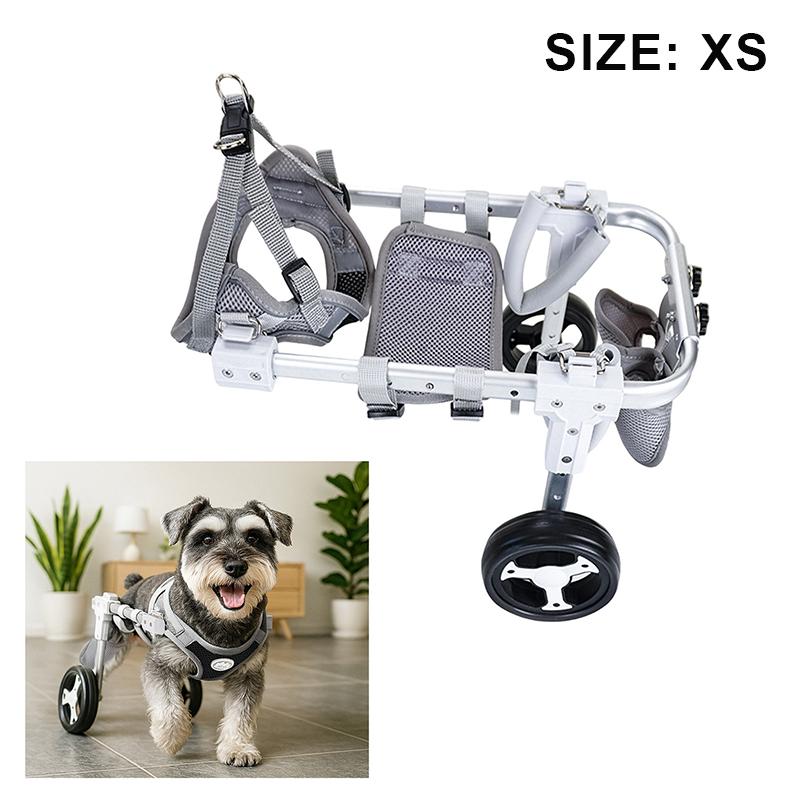 Durable Metal Dog Wheelchair; Adjustable Mobility Support for Back Legs and Weakened Front Limbs