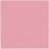 Softpoint Champagne Napkins 38Cmx38Cm 50 Pcs