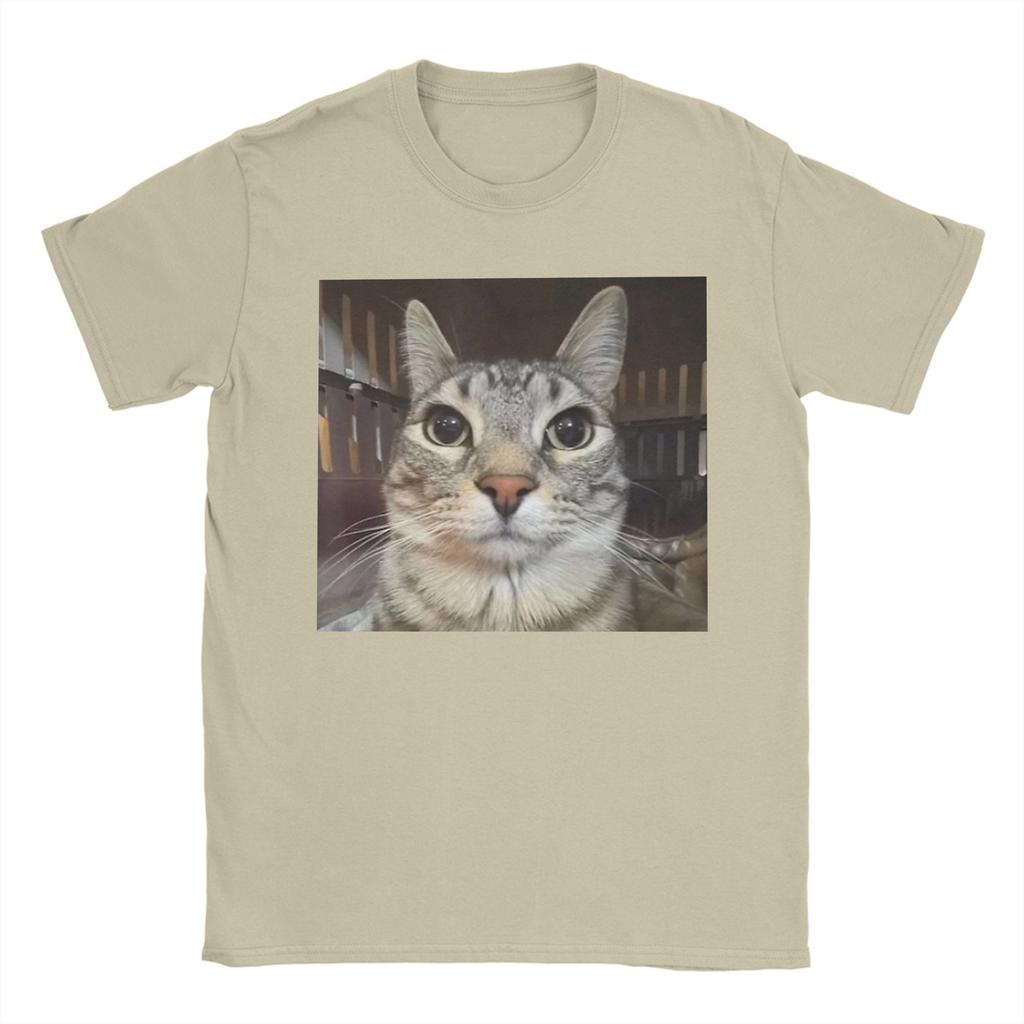 Silly Staring Cat Meme Mens T Shirts Vintage Tees Short Sleeve Round Collar TShirts Pure Cotton Party Clothes