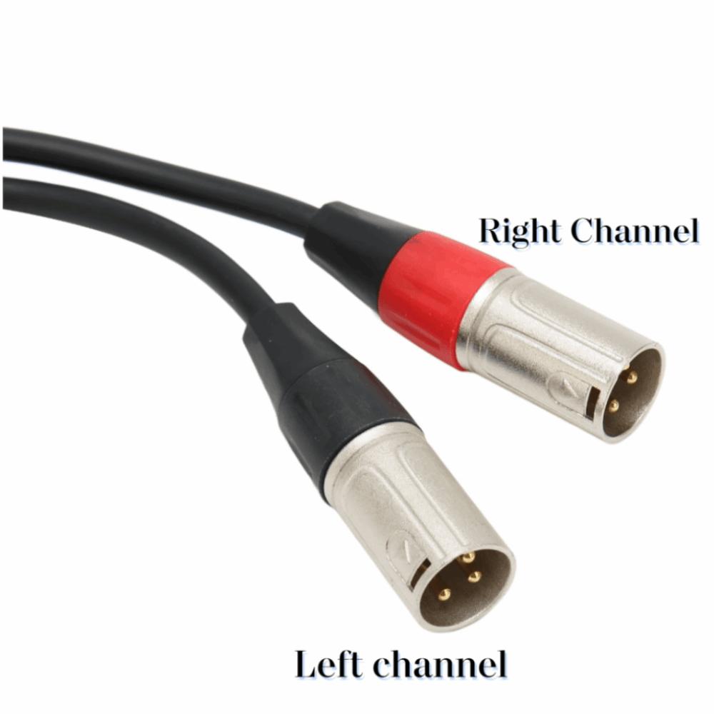 Plug and Play Balanced Dual XLR Male To 3.5mm Female 1.0ft Stereo Cable  Audio Interface