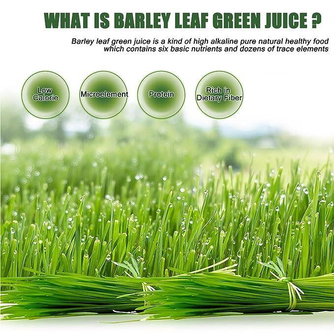 250g Organic Barley Grass Powder |USDA Certified | PREMIUM Grade