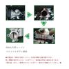XIANGSHANG R06A Engine Throttle Spacer with 3 Bolts for Every Wagon and 6th DA17V Jimny JB64 Alto HA36S Alto Lapin HE33S Hustler MR41S NA MR92S Wagon