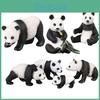 Plastic Wild Animal Zoo Toy With Static Panda Models For Children Learning Activities