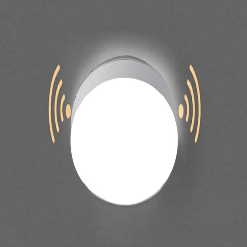 OEING Microwave Radar Motion Sensor LED Ceiling Light