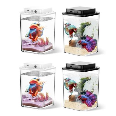 Peces y mascotas acuáticas – Peceras