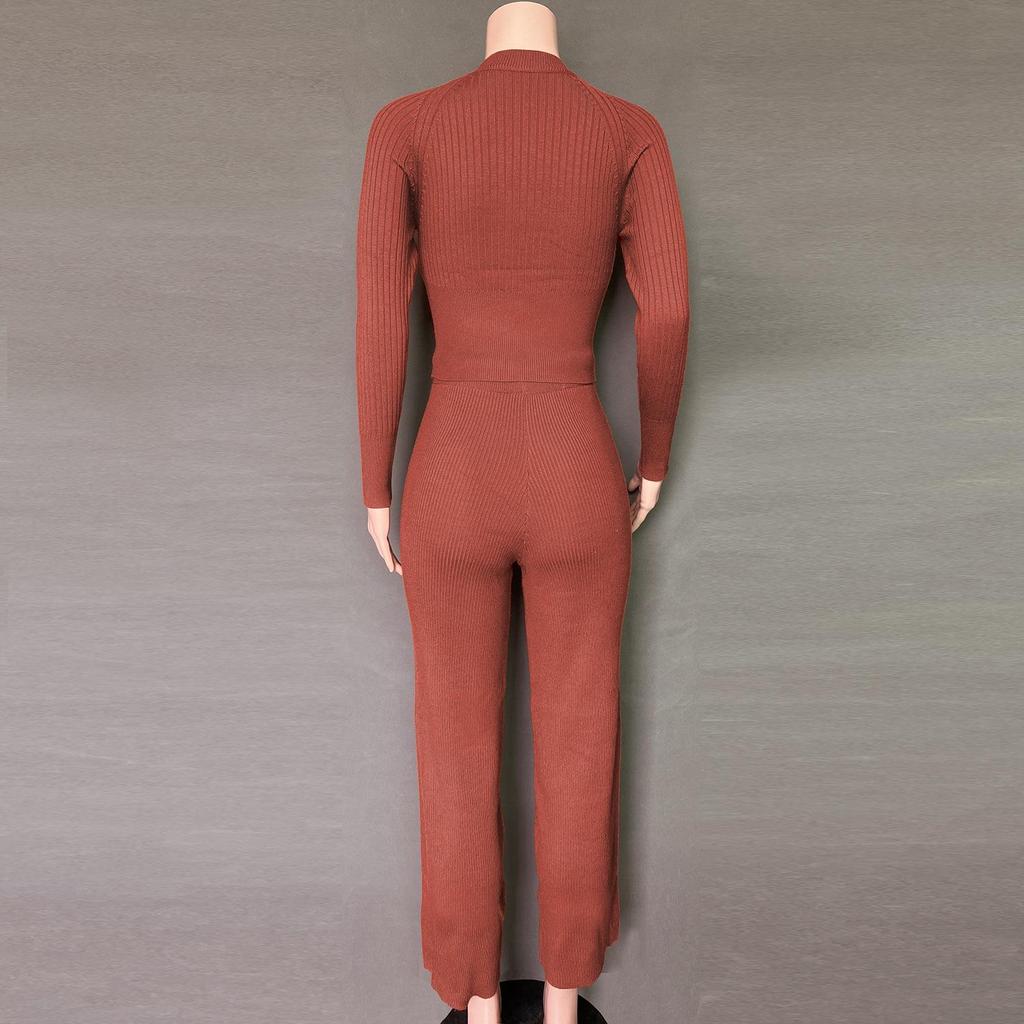 Toamnă Iarnă Femei Gâtul O cu mânecă lungă Culoare uni Pantaloni cu picioare largi Toate se potrivesc cu costume din două piese