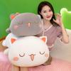 40/ 50CM Peach Cat Plush Toys White Grey Stuffed Peach Cat Children's Gift Animal Doll