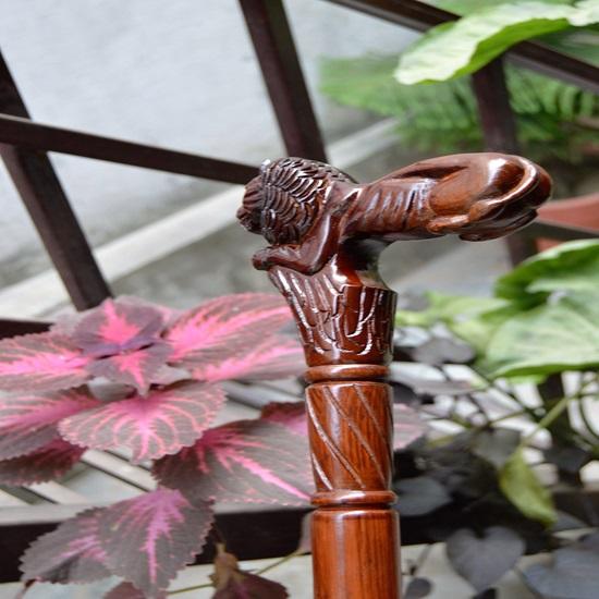 Lví dřevěná vyřezávaná vycházková hůl Elegantní ručně vyřezávaná dřevěná hůl se složitým designem