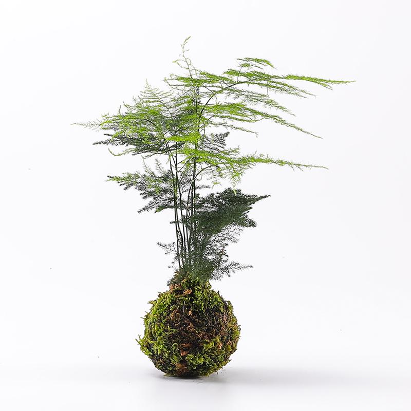 Eco Tank Pottery Jar: Ancient Flow Filtration Ornament for Oxygenating Fish, Courtyard Landscaping, and Fountain Decoration.