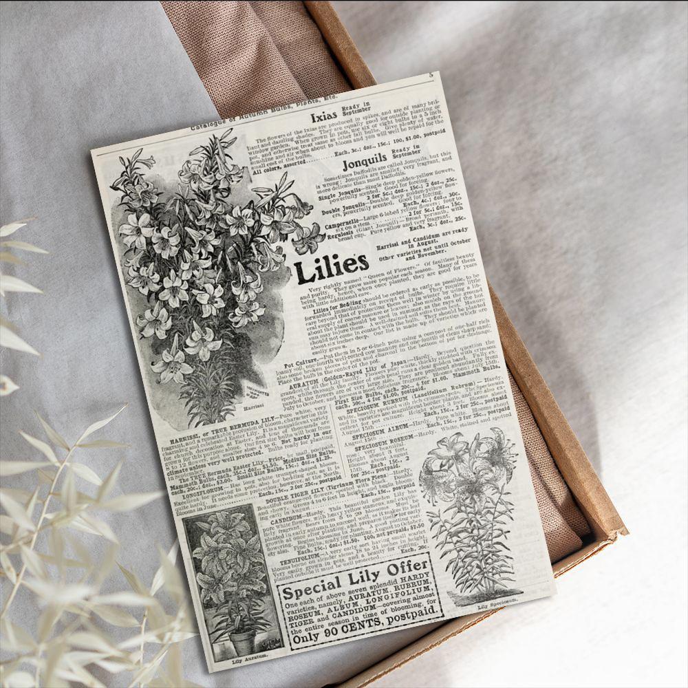 10PCS Retro English Flowers Sticker Poster Nostalgia Wall Coffee Laptop Gift Room Luggage Skateboard For Wall Decal