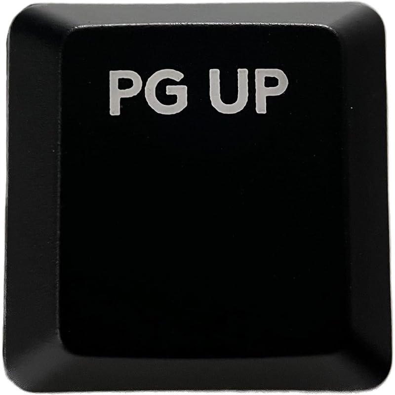 

logitech G913/G913TKL/G915 replacement keycaps [Sold as 1 piece] (Light-emitting compatible) [BERGBUCH] (PGUP, Black)