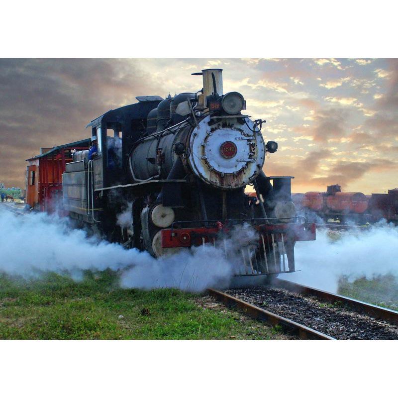

Classic Steam Train Wall Art - Bedroom, Bar, Dorm, or Study Decor White card paper (non-adhesive) 30*42 cm
