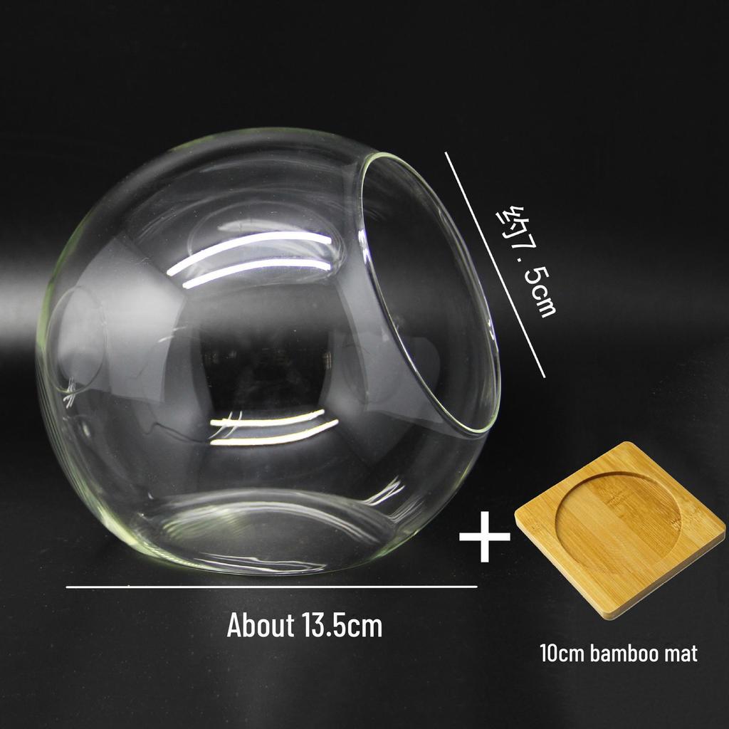 Round Oblique-Mouth Glass Vase for Succulents and Micro Landscapes