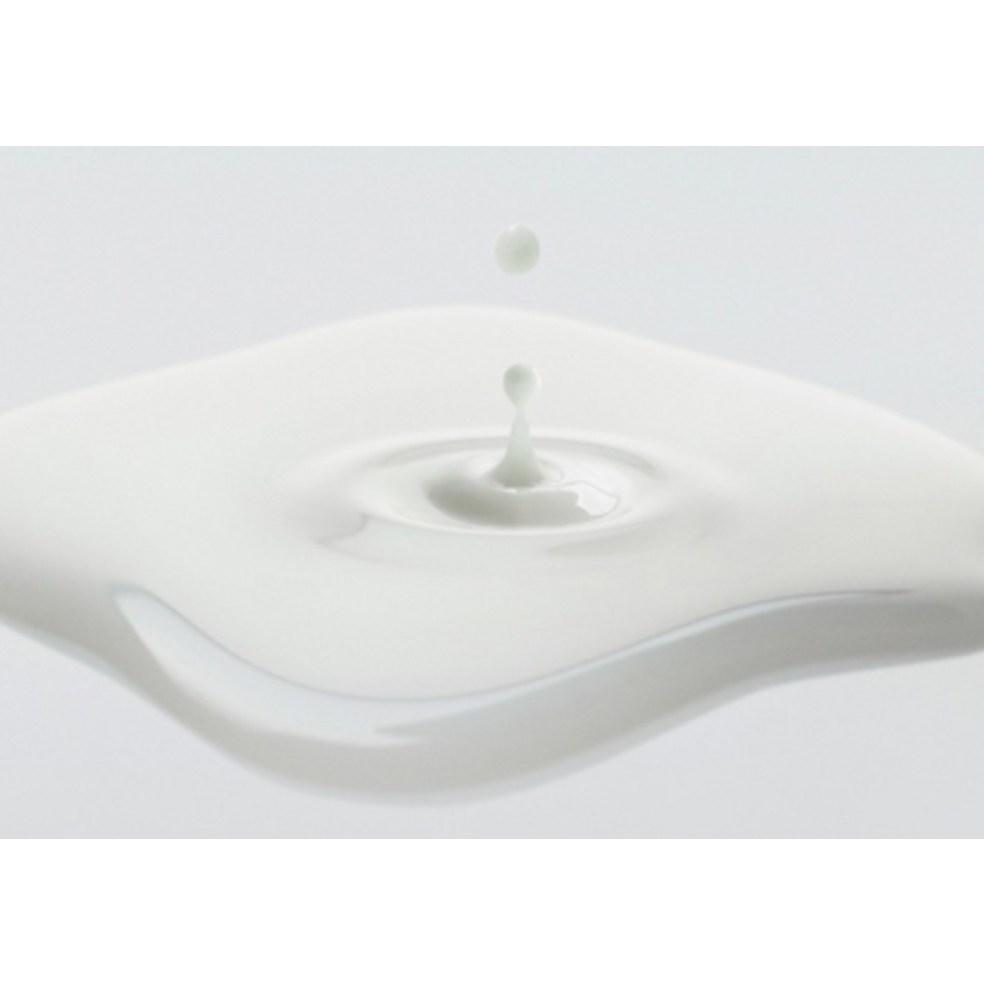 Innisfree Green Tea Ceramide Milk Essence 160ml