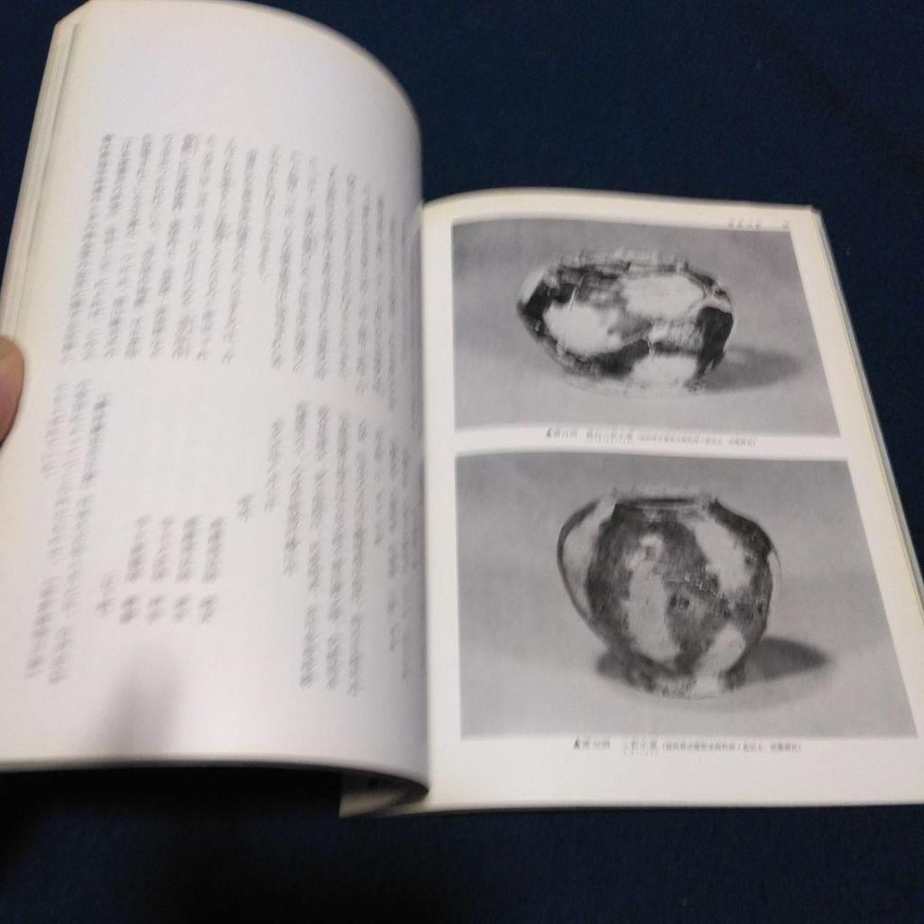 [USED] Japanese Art 9 No.76 Sansai 1971 Shibundo