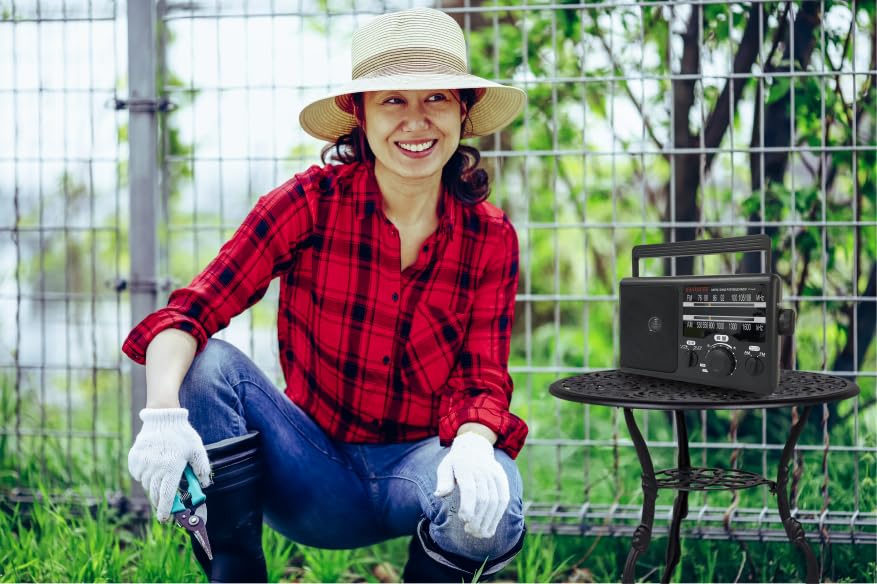 Aiwa Portable Home Radio aiwa audio -G PHR1 Black (BK)