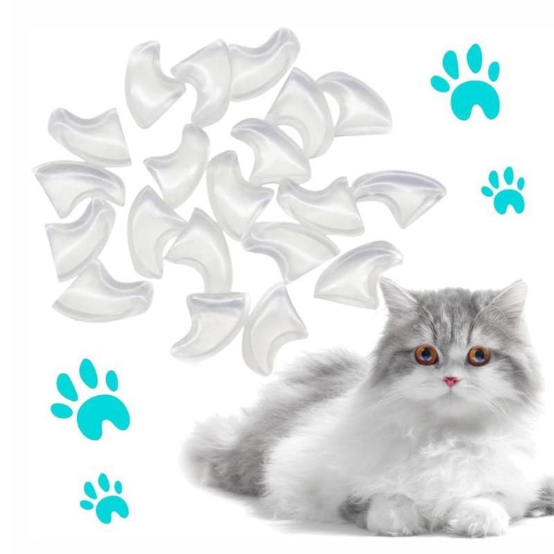 Clear Cats Nail Cap For Protecting Furniture And Skin From Scratches With Easy Application And Comfortable Fit