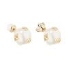 Dior Elegante und exquisite Ohrringe Damenohrringe Gold E0665TRICY-D03S