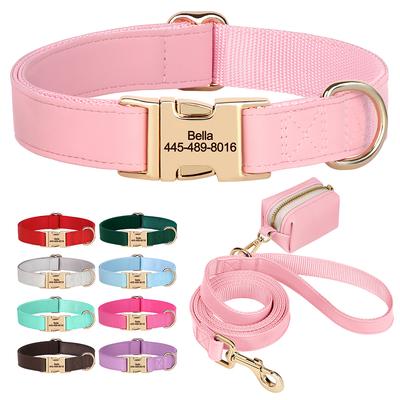 Hundar – Hundhalsband & Koppel